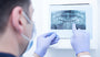 regrow teeth naturally